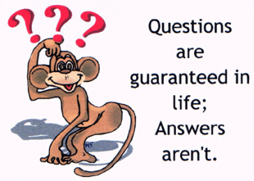 question monkey pill pals